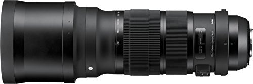 Sigma 120-300mm F2.8 DG OS HSM Lens (Black) Online Hot Sale