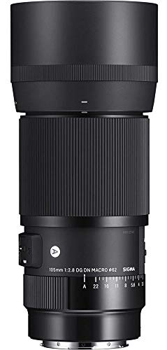 Sigma 105mm f 2.8 DG DN Macro Art Lens (Sony E) Online now