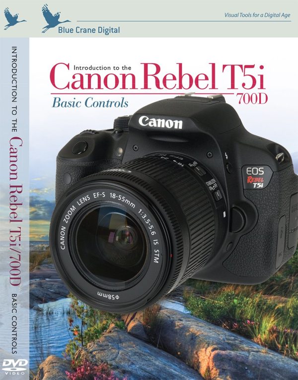 Introduction to The Canon Rebel T5i   700D: Basic Controls For Discount