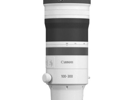 Canon RF 100-300mm f 2.8L IS USM Lens, Ø112 Online Sale