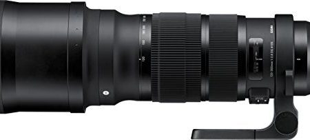 Sigma 120-300mm F2.8 DG OS HSM Lens (Black) Online Hot Sale