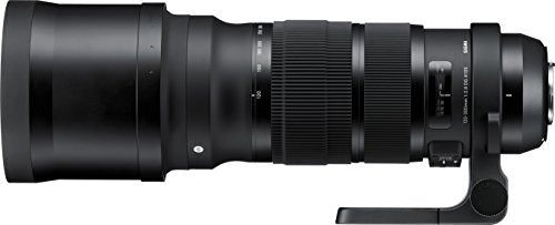 Sigma 120-300mm F2.8 DG OS HSM Lens (Black) Online Hot Sale